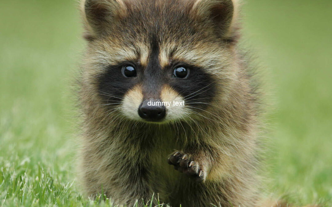 Predavanje i radionica – dragovoljno darivanje krvi