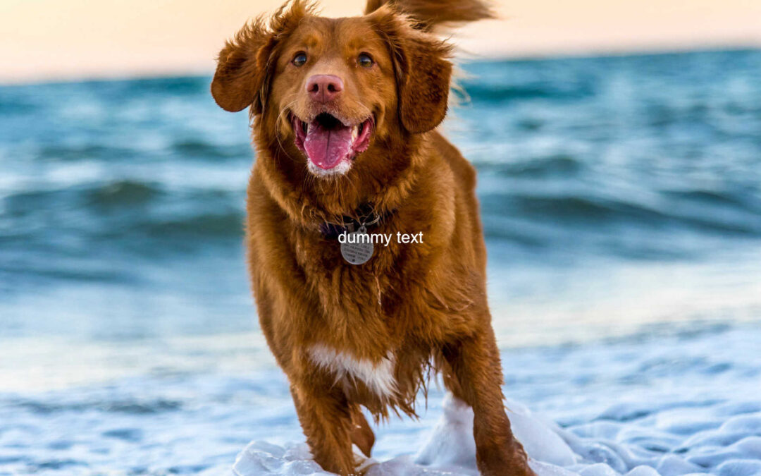 Svjetski dan kravate – 18. listopada