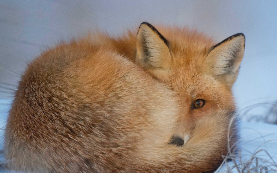 Obilježavanje Dana planeta Zemlje u Tehničkoj školi